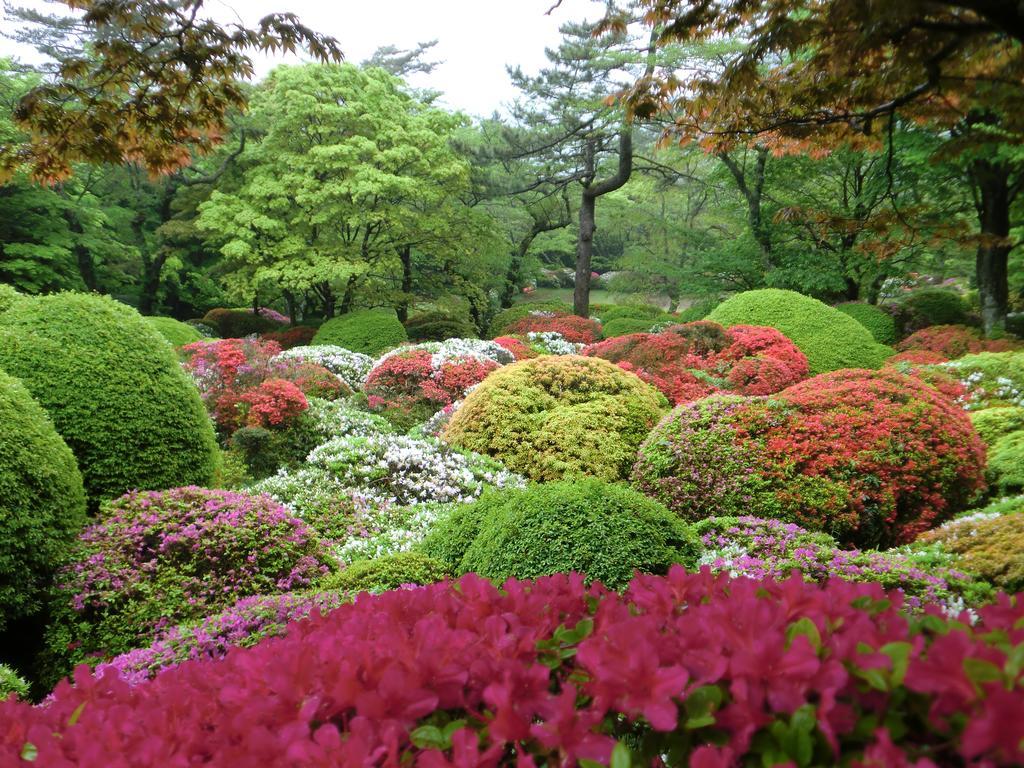 Hakone Kowakien Miyamafurin Otel Dış mekan fotoğraf