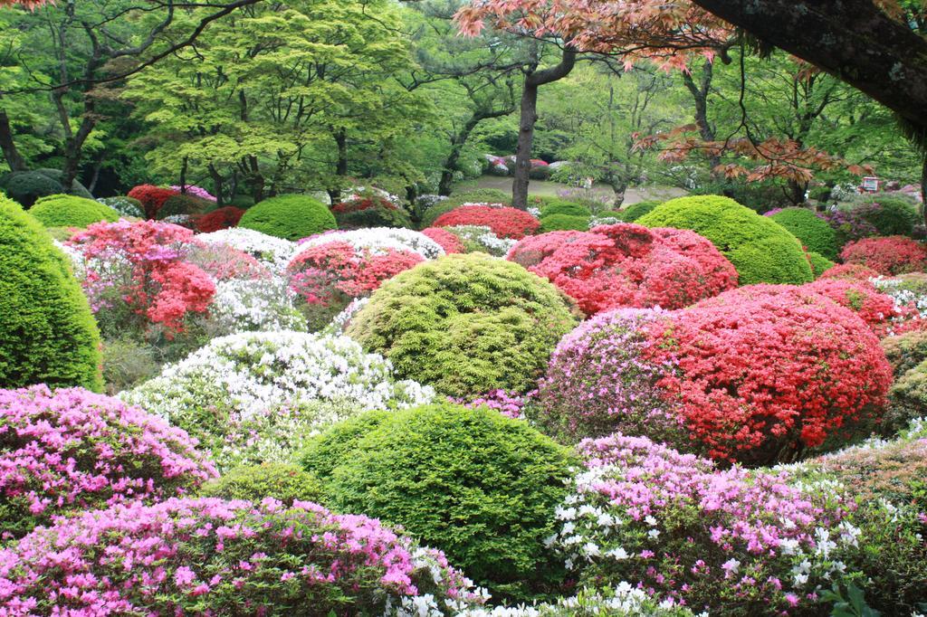 Hakone Kowakien Miyamafurin Otel Dış mekan fotoğraf