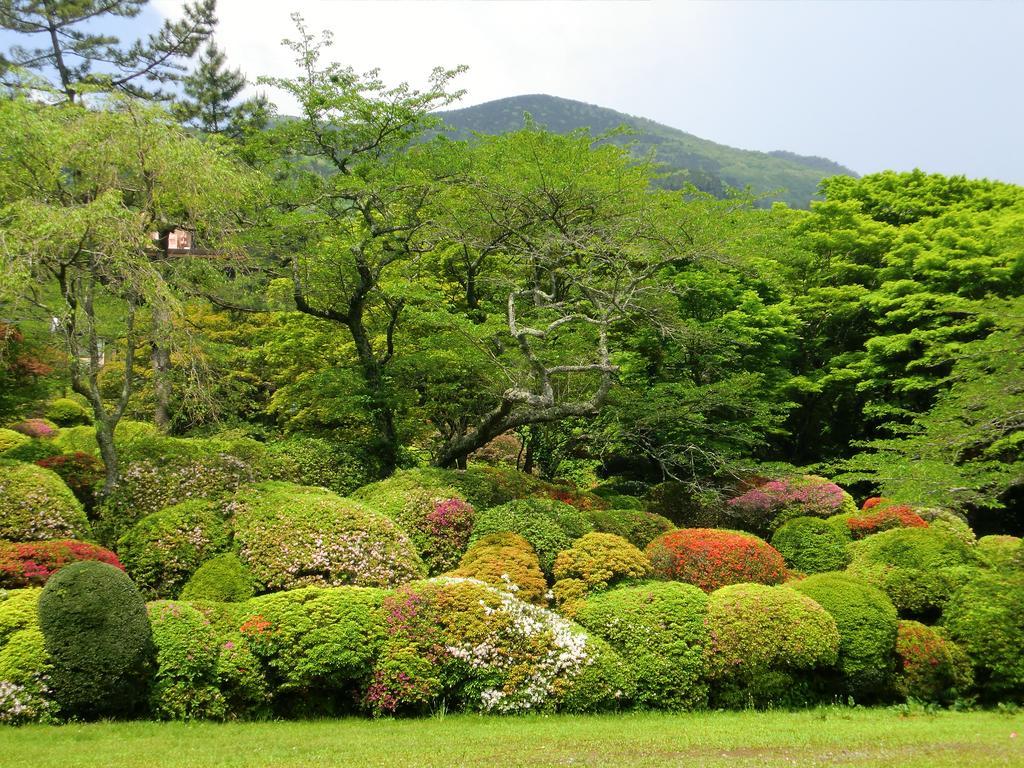 Hakone Kowakien Miyamafurin Otel Dış mekan fotoğraf