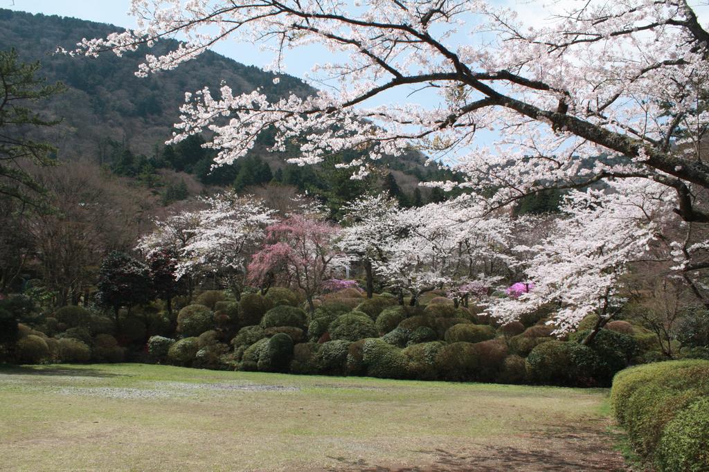 Hakone Kowakien Miyamafurin Otel Dış mekan fotoğraf