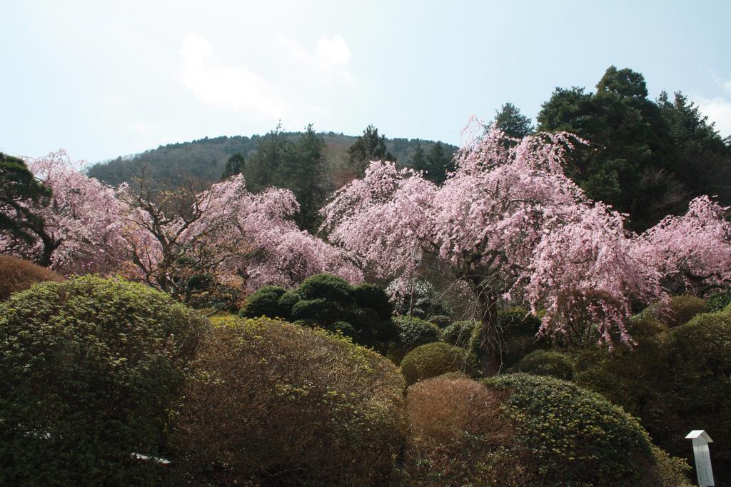 Hakone Kowakien Miyamafurin Otel Dış mekan fotoğraf