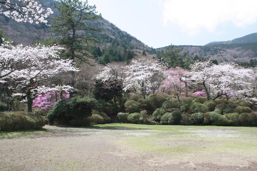 Hakone Kowakien Miyamafurin Otel Dış mekan fotoğraf